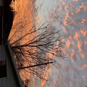 Meet your Posher, Ariel